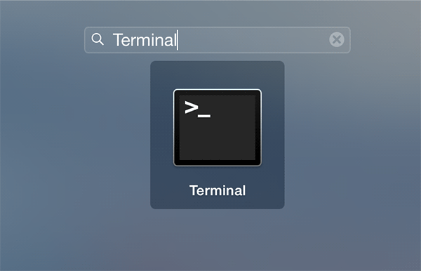 saverasbg-terminal