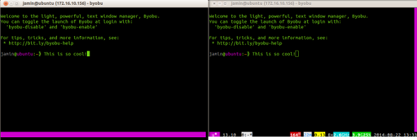 byobu-local-pantalla-comparar