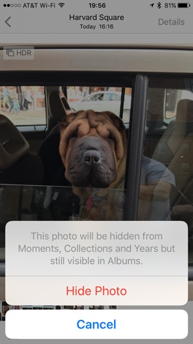 Use la acción 'Ocultar' en la aplicación Fotos de iOS 10+ para ocultar sus fotos y videos de sus colecciones de fotos principales.