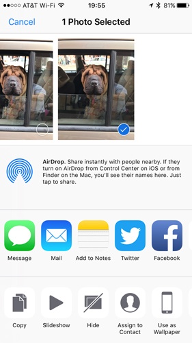 Puede compartir sus fotos y videos en casi cualquier red social o realizar muchas acciones con la aplicación Fotos de iOS 10+.