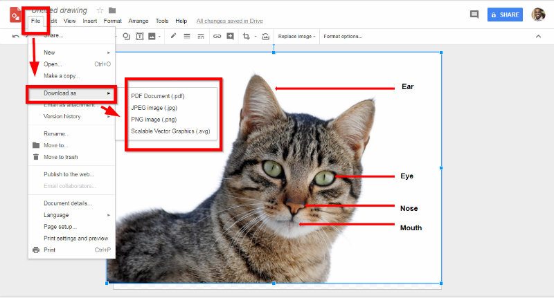 ser-creativo-con-dibujos-de-google-diagramas-anotados-gato-descargar-como