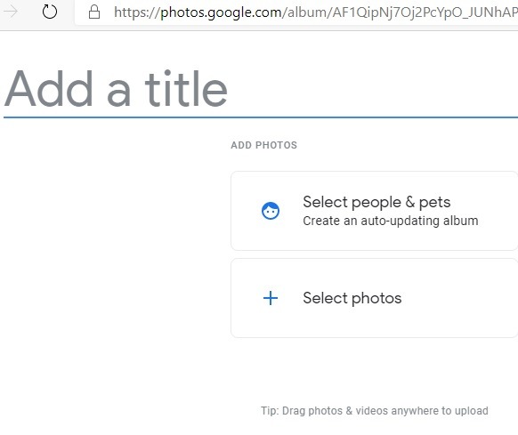 Google Fotos para ti Crear álbum Primera página