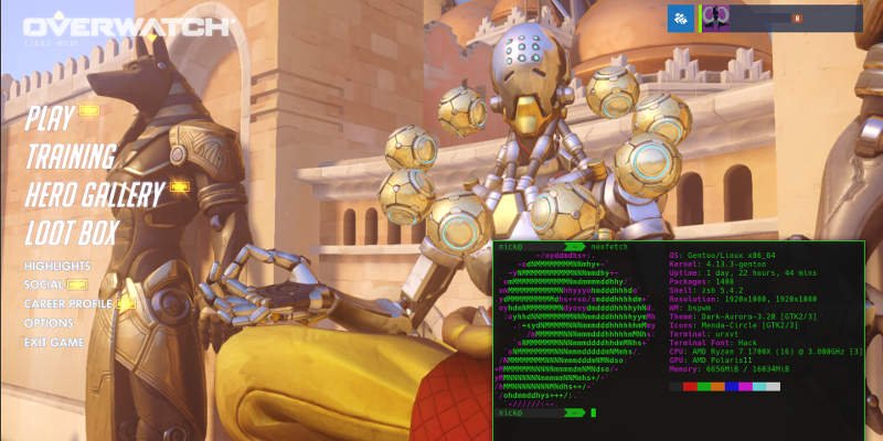 Overwatch en vino en Gentoo