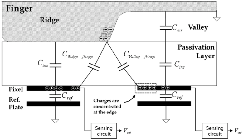 Diagrama capacitivo de escáneres de huellas dactilares