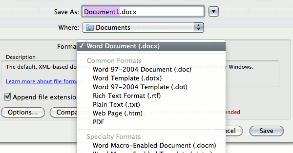 opciones de formato de archivo de Word