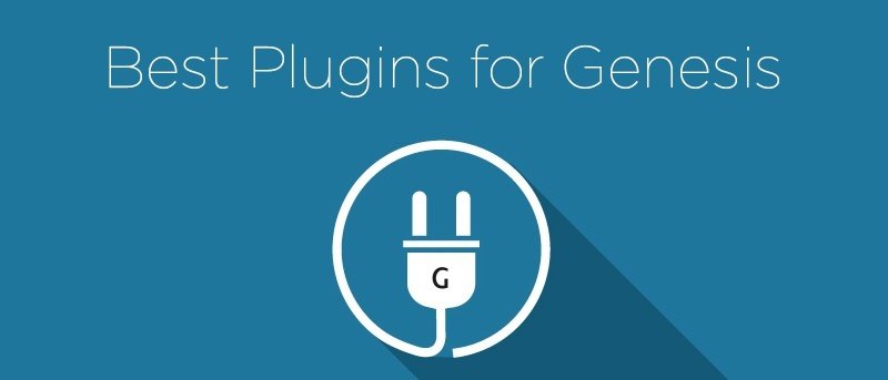 12 Best Plugins for Genesis Theme Users