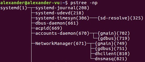 pstree-guide-linux-3