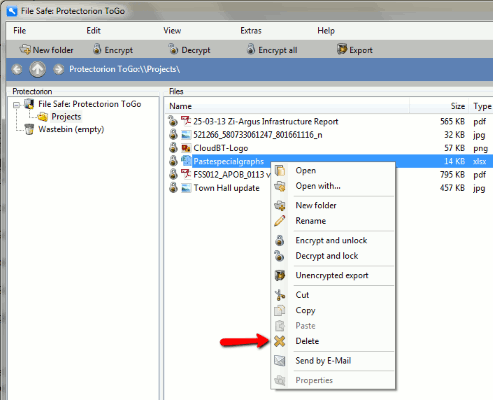 Protectorion-To-Go-Delete-Encrypted-File