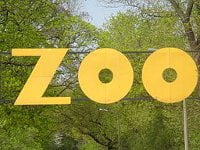 Zootool: visita tus marcadores salvajes en el zoológico