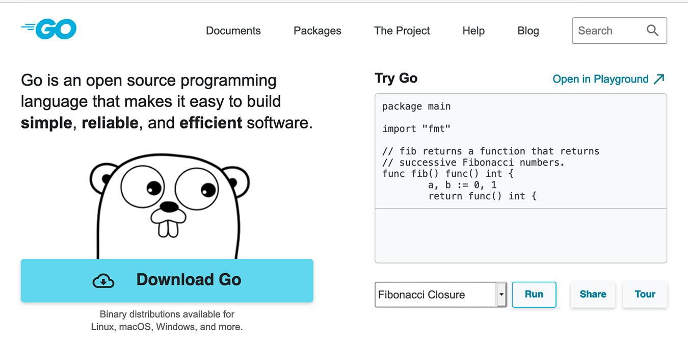 Sitio web de Golang vs Java Go