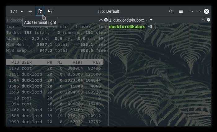 Terminal actualizado con Tilix dividido verticalmente