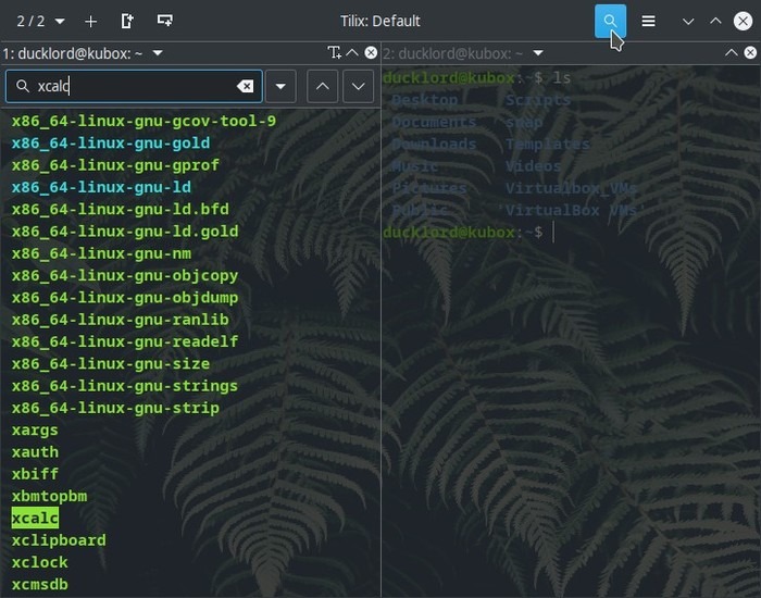 Terminal actualizado con Tilix Search Terminal