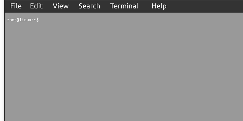 bash terminal