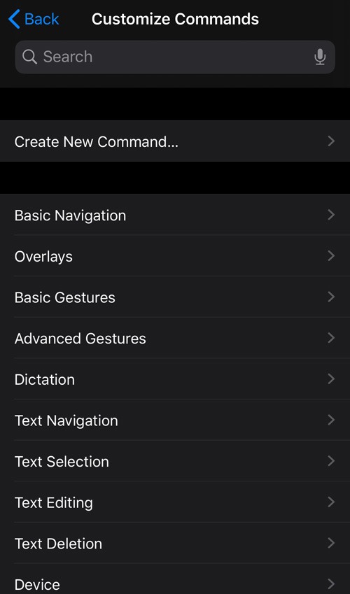 Habilitar control de voz Ios Personalizar controles