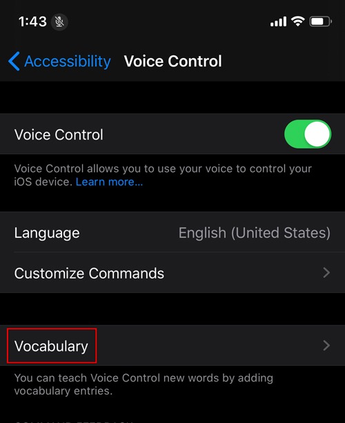 Habilitar Vocabulario de Ios de Control de Voz