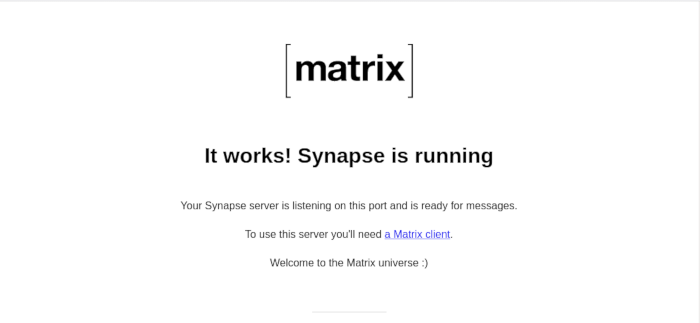 Instalación exitosa de Matrix Server 21