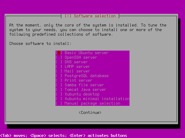 ubuntu-bsd-installation-choose-server-software