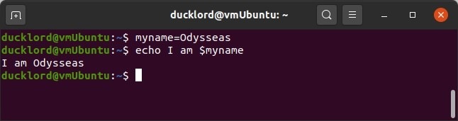 ) le permite configurar variables para usar en sus comandos.  Para verlos en acción, intente ingresar lo siguiente en su terminal: