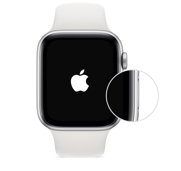 Botón lateral Find Everything Apple Watch