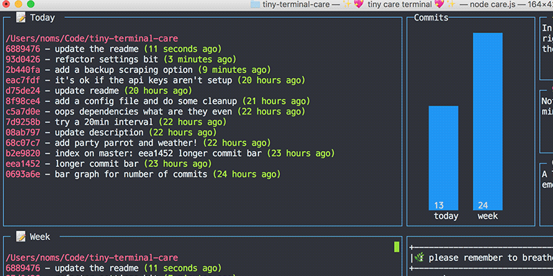 tiny-care-terminal-presentado