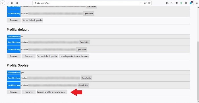 Cómo crear nuevos perfiles de usuario Firefox Chrome Launch Profile New Browser