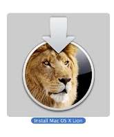 Lion-Instalador-Icono