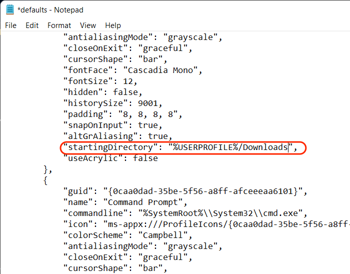 Bloc de notas Editar directorio de inicio de Json Terminal de Windows