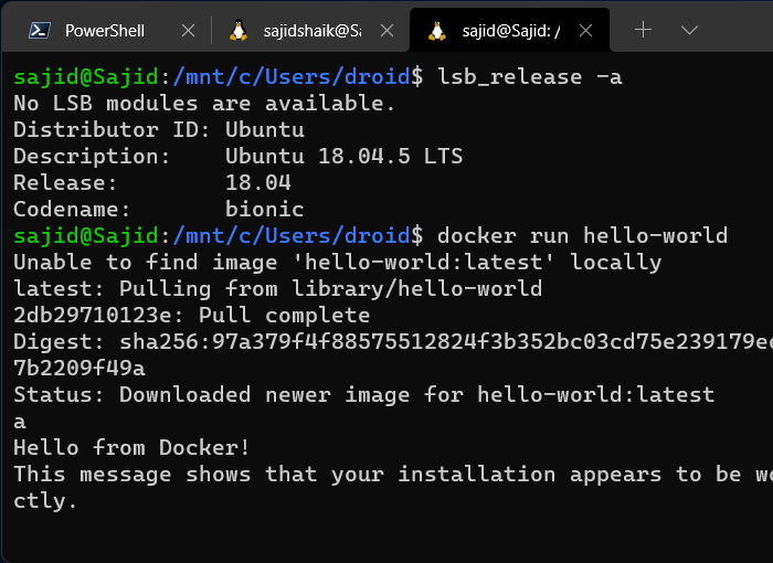 Windows Terminal Ubuntu Docker Hola Mundo