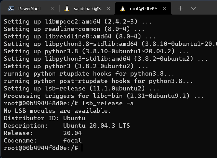 Lanzamiento de instalación de Windows Terminal Ubuntu Lsb