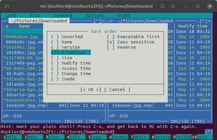 Administrar archivos con Mc Ordenar por extensión