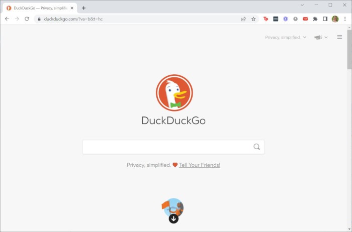 Motores de búsqueda Duckduckgo Apariencia