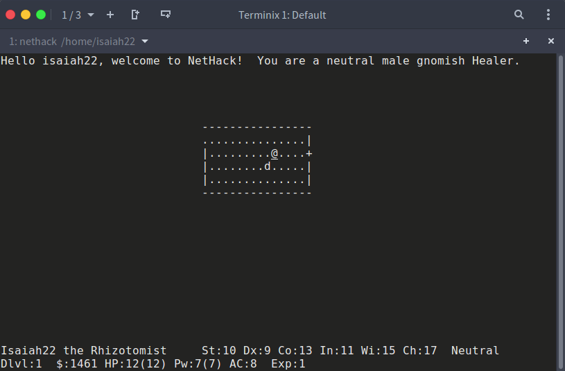 juegos-de-terminal-nethack