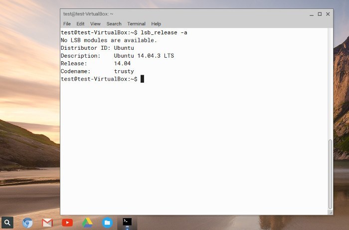 Chromixium-terminal-window-release-info