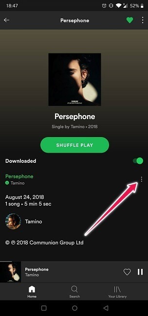 Canción de la estación de radio de Spotify Menú de tres puntos