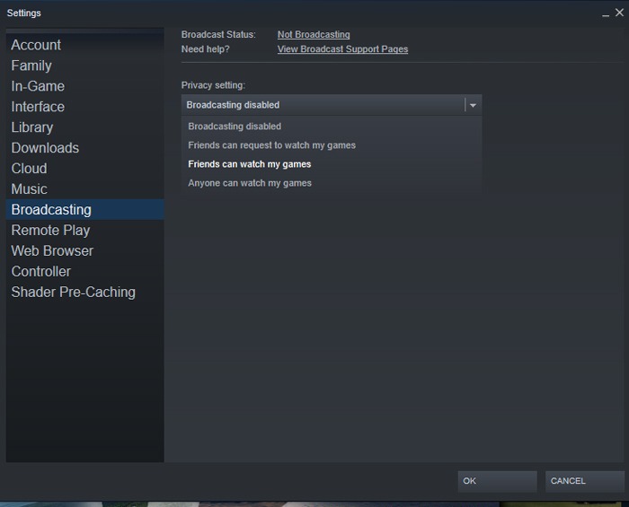 Permitir que mis amigos me vean jugar Steam Games Broadcasting