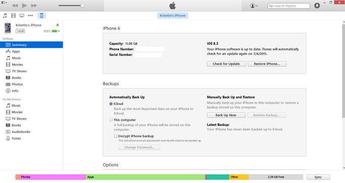 exportariPhonecontacts-itunesssummary