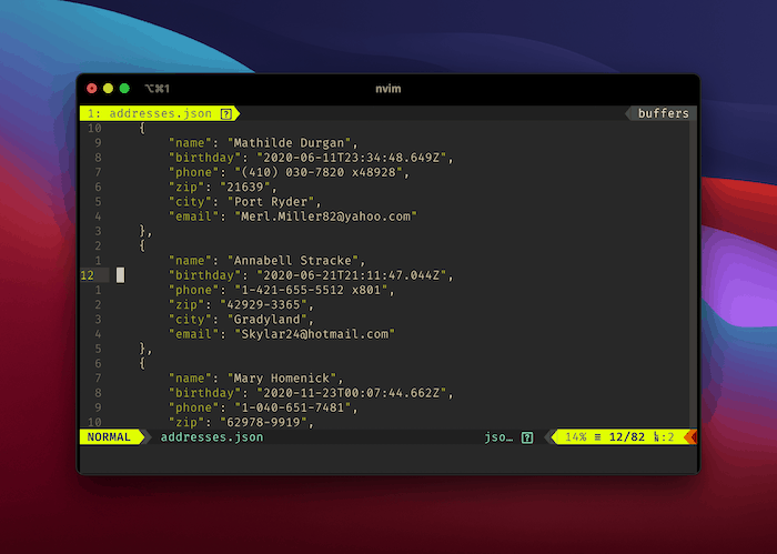 Datos embellecidos en Neovim.