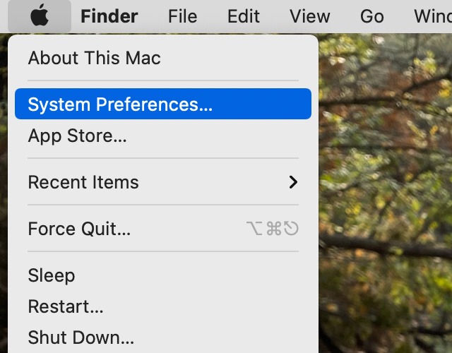 Inicie cualquier carpeta Preferencias del sistema de terminal de Mac