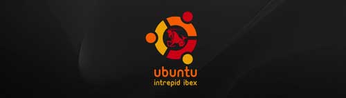 ubuntu-ibex