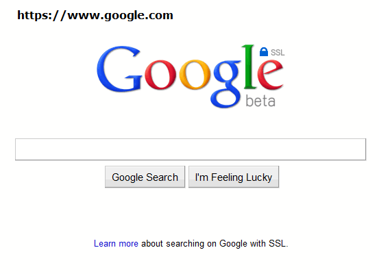 google-ssl-search