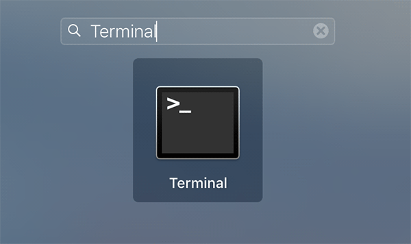 dnscache-terminal