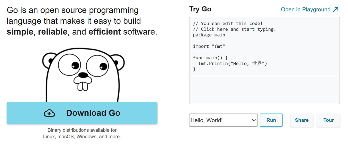 Sitio web de Golang vs Python Go