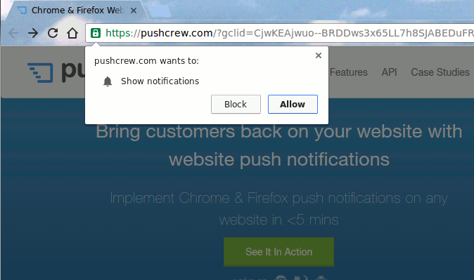 sitio web-push-notificación