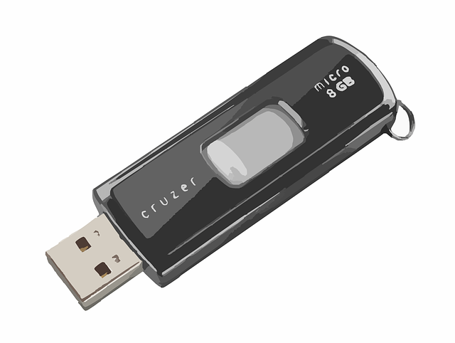 Memoria USB de almacenamiento