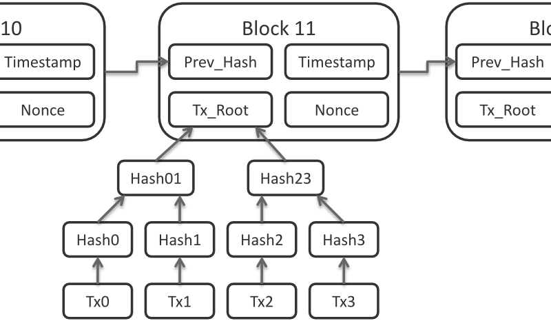 Datos de bloque de Lightning Network