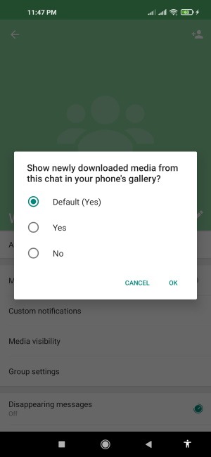 Cómo crear visibilidad de medios de grupo de Whatsapp