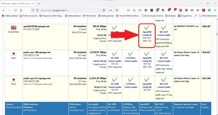 Openvpn Elija el archivo de configuración 1