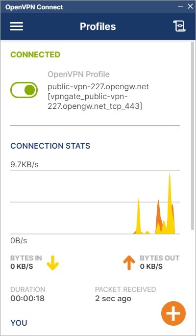 Conexión VPN exitosa