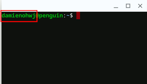 Nombre de usuario de la terminal Chromeos Linux