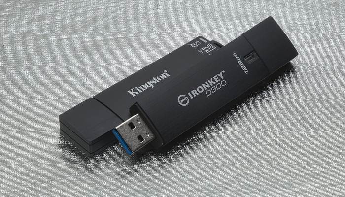 Segura Usb Kingston Ironkey